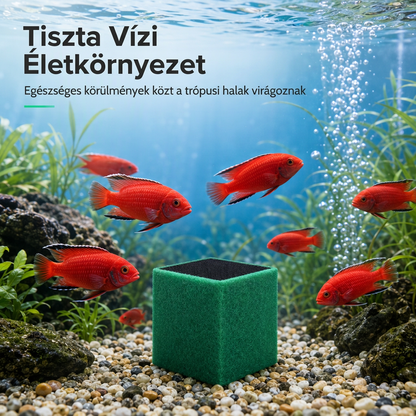 🐠1+1 INGYEN💧Aktivált Szénszűrő Kocka